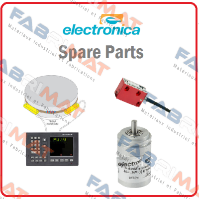 Electronica Mechatronic Systems