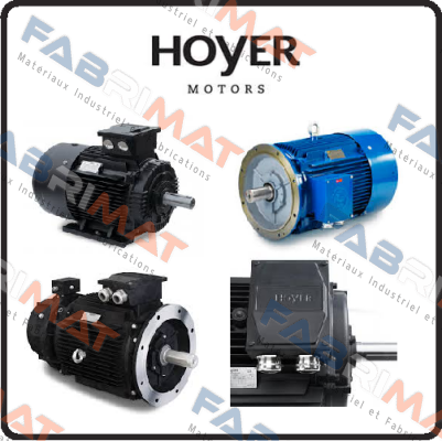 Hoyer Motors