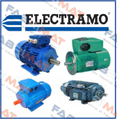 2HP/2815 D/D Electramo