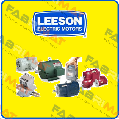 05744, 4T17FZ47 LEESON Electric