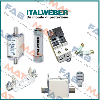 0300800  Italweber