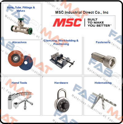 401029-20  10-2005 Msc