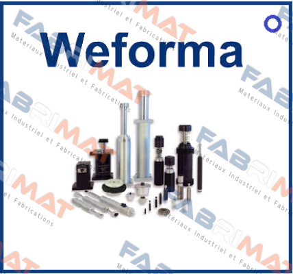 WP-M 1,0 - 166 (SONP41210166) Weforma