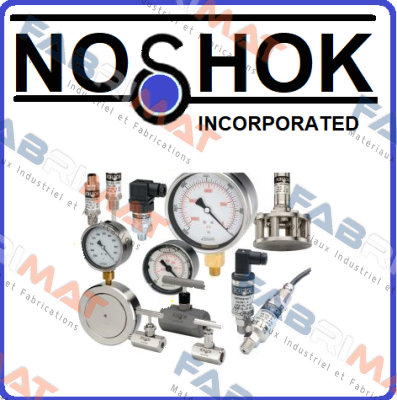 20-901-1000PSI/KPA-1/4  Noshok