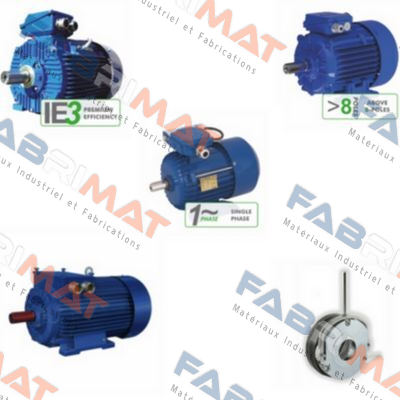 3SIEK 160 L-4  Cantoni Motor