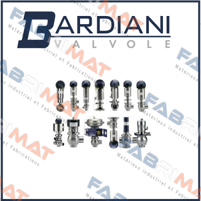 B925 DN 11851 TYP TT AISI 316L (1.4404) DN50 (2") 4-90°TT Bardiani Valvole