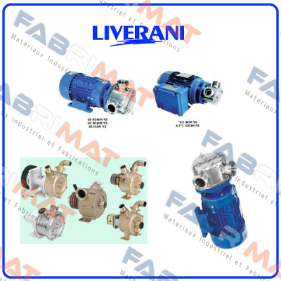 G1024600 Liverani