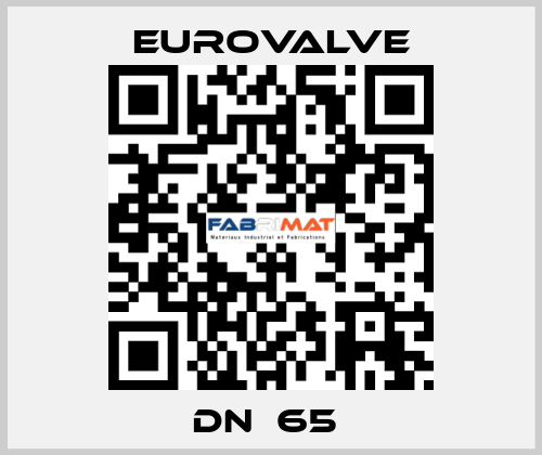 DN  65  Eurovalve