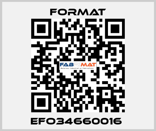 EFO34660016  Format