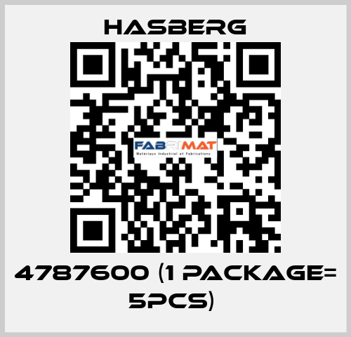 4787600 (1 Package= 5pcs)  Hasberg