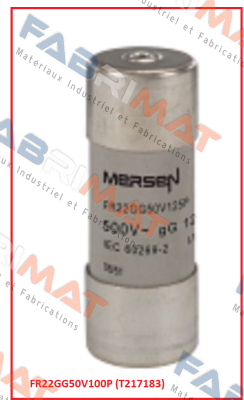 FR22GG50V100P (T217183) Mersen