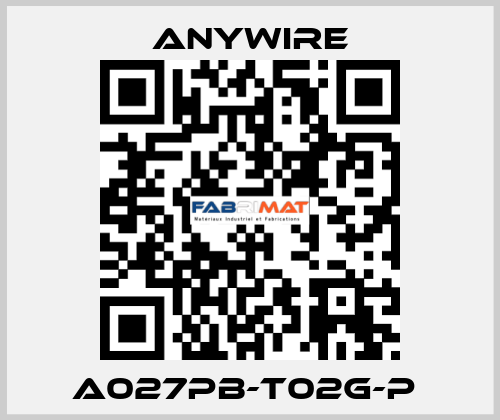 A027PB-T02G-P  Anywire