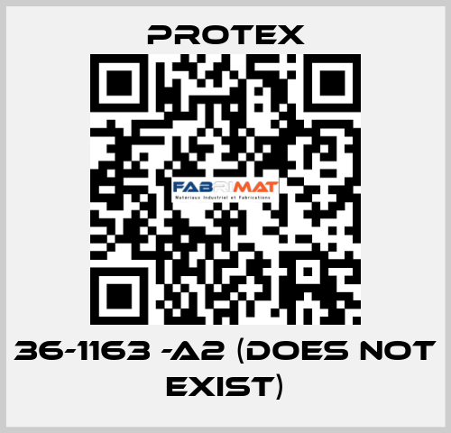 36-1163 -A2 (DOES NOT EXIST) Protex