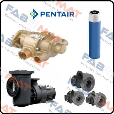 80H100/120 A/R for pos2 Pentek (Pentair)