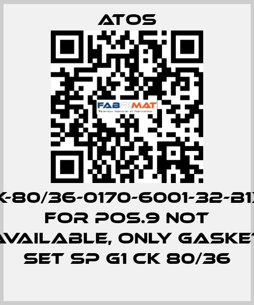 CK-80/36-0170-6001-32-B1X1 for Pos.9 not available, only gasket set SP G1 CK 80/36 Atos