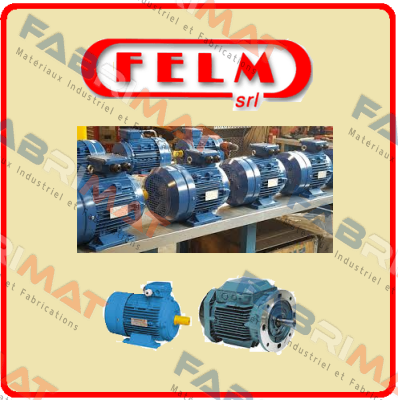 HD09-FM-3900701 Felm