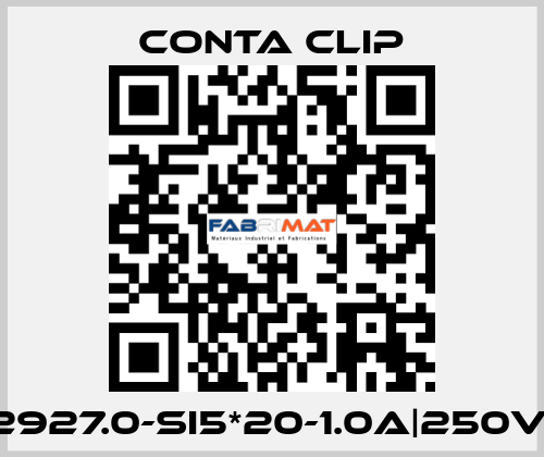 2927.0-SI5*20-1.0A|250V| Conta Clip