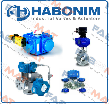 10 FH29W-66MMLHG/BSPP Habonim