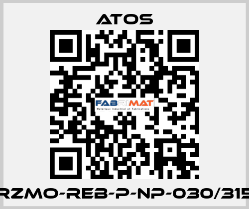 RZMO-REB-P-NP-030/315 Atos