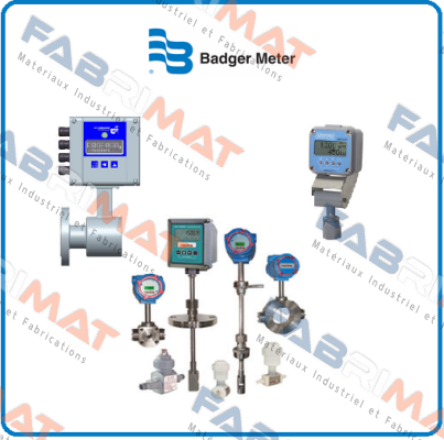 EPM-3 RF 2.4GHZ Badger Meter