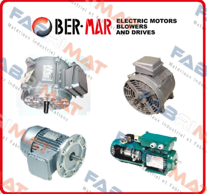 S2.802-4-B5 PTC PA Ber-Mar Motors