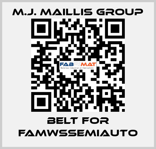 belt for FAMWSSEMIAUTO M.J. MAILLIS GROUP