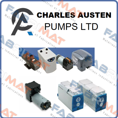 X12-813 Charles Austen Pumps