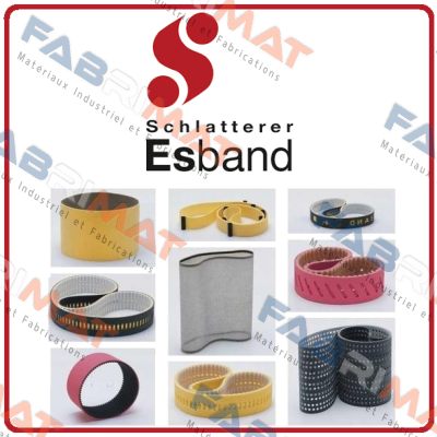 NKO 43 2800x22,0 (02000034) OEM Esband