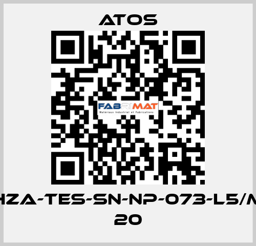 DHZA-TES-SN-NP-073-L5/M/1 20 Atos