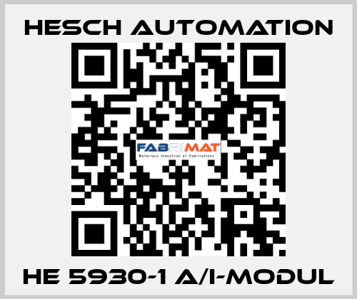 HE 5930-1 A/I-Modul Hesch Automation