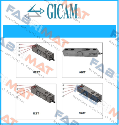 S/N: 2021/0019 Gicam