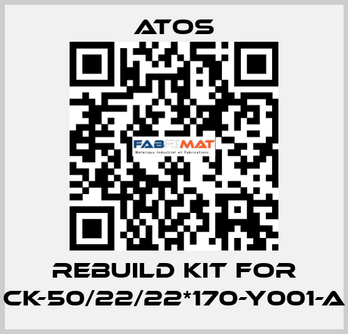 rebuild kit for CK-50/22/22*170-Y001-A Atos