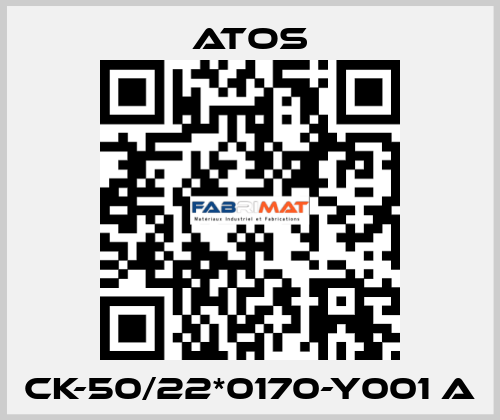 CK-50/22*0170-Y001 A Atos