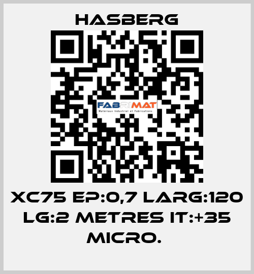 XC75 EP:0,7 LARG:120 LG:2 METRES IT:+35 MICRO.  Hasberg