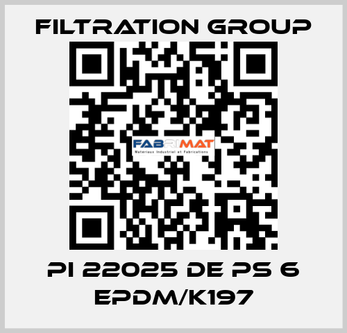 PI 22025 DE PS 6 EPDM/K197 Filtration Group