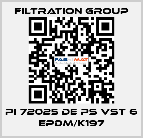 PI 72025 DE PS VST 6 EPDM/K197 Filtration Group