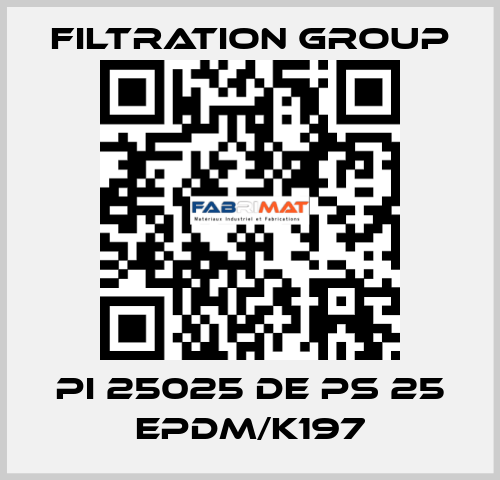 PI 25025 DE PS 25 EPDM/K197 Filtration Group