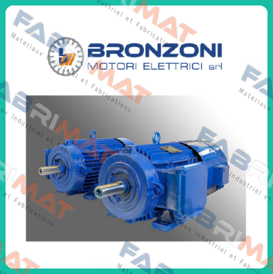 Engine cover for I1003A-IE3-90L Bronzoni