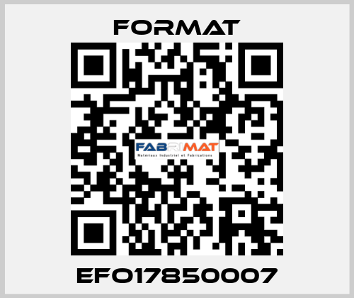 EFO17850007 Format