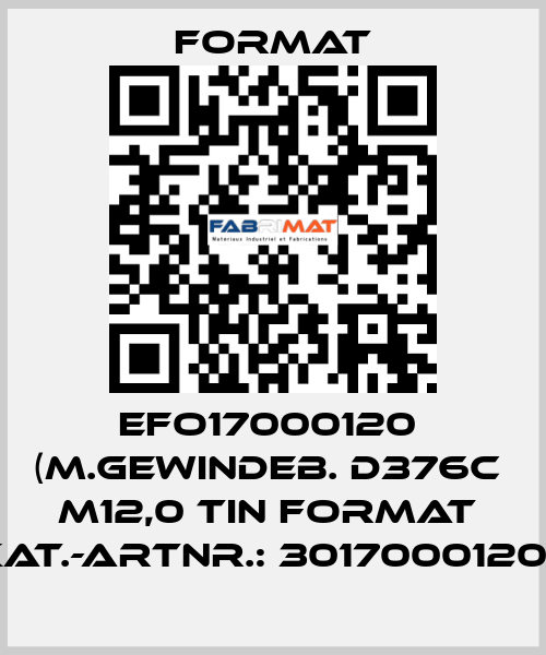 EFO17000120  (M.Gewindeb. D376C  M12,0 TiN FORMAT  Kat.-Artnr.: 3017000120)  Format