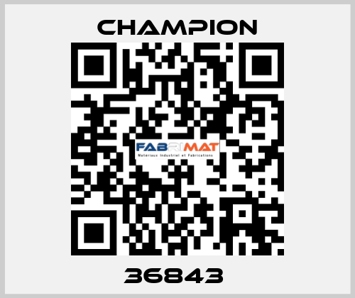 36843  Champion