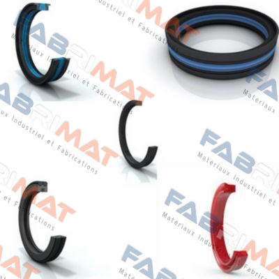 EGR 650A PTFE G423VX1  Polypac