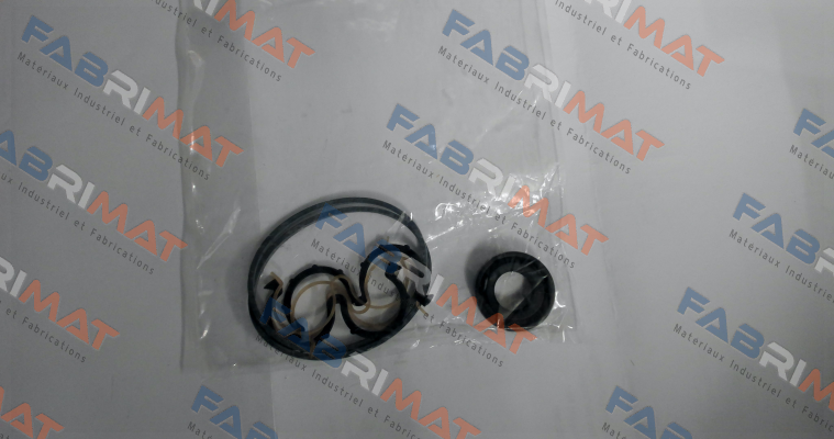 seal kit for 10A5X026 Caproni