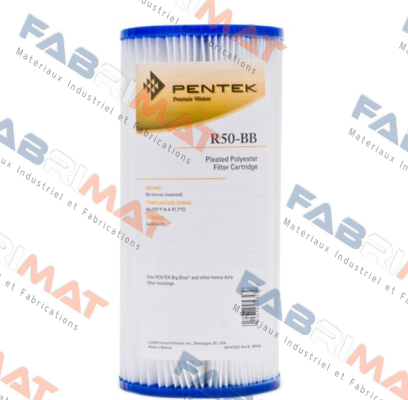 R50-BB (8 PACK)   155053-43  Pentek