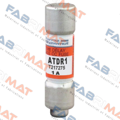 ATDR1 / T217275 Mersen