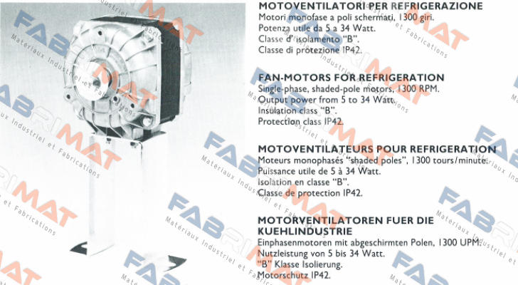 82-2010 Euro Motors Italia