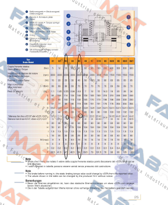 GSBT-K3-200 + Nabe- GSBT-K3-HUB-15  TEMPORITI Electromagnetic disc brakes