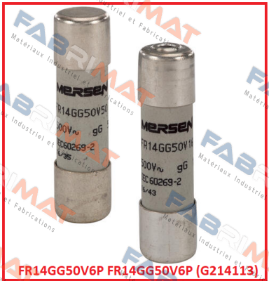 FR14GG50V6P (G214113)  Mersen