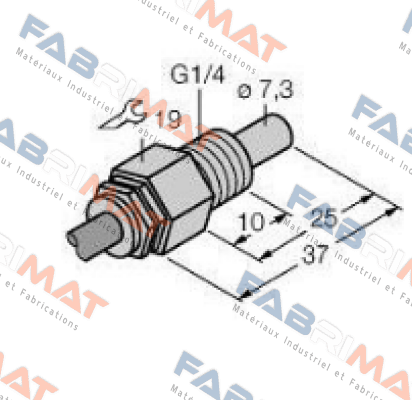 FCS-G1/4A4-NAEX Turck